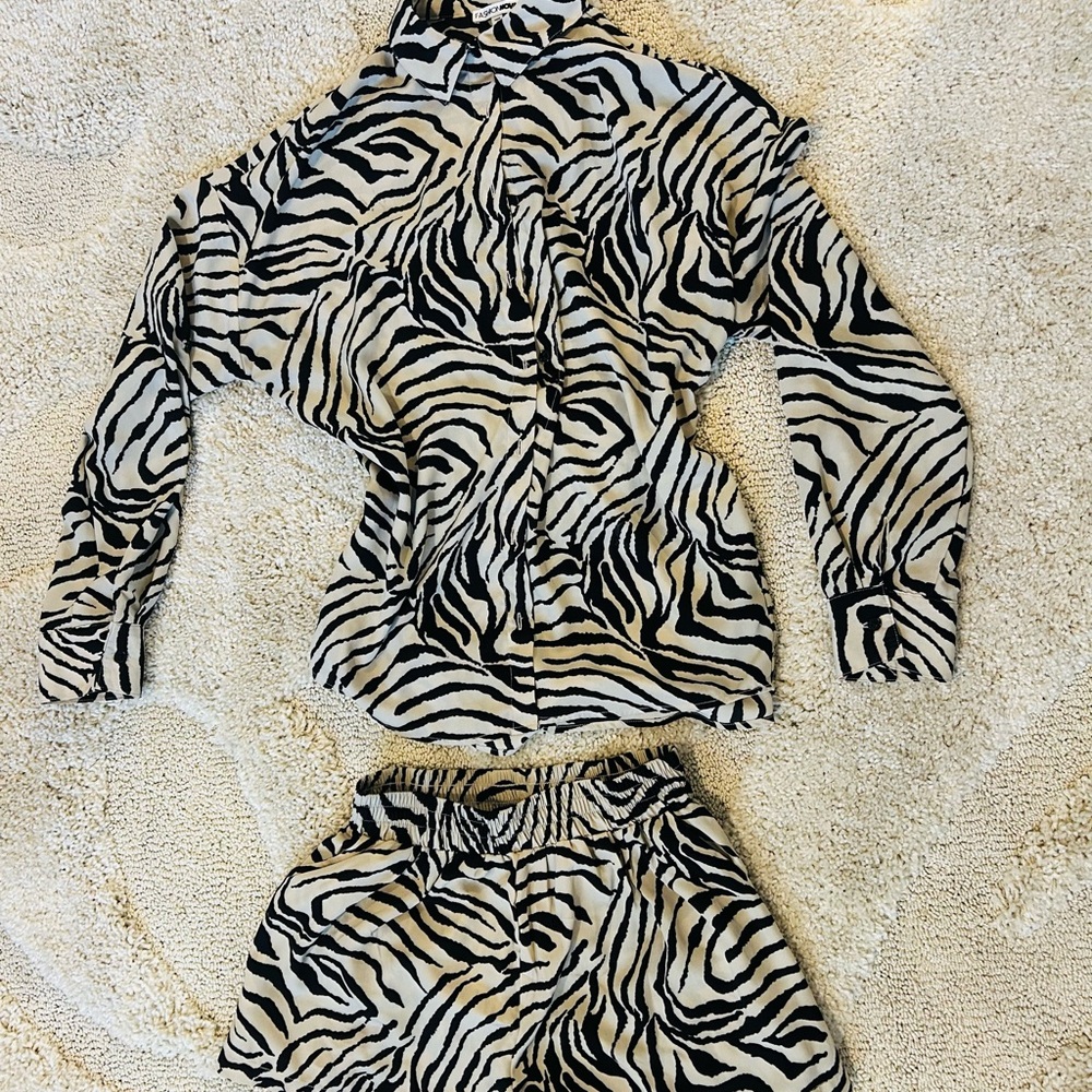 Zebra Print Long Sleeve Top and Shorts Set